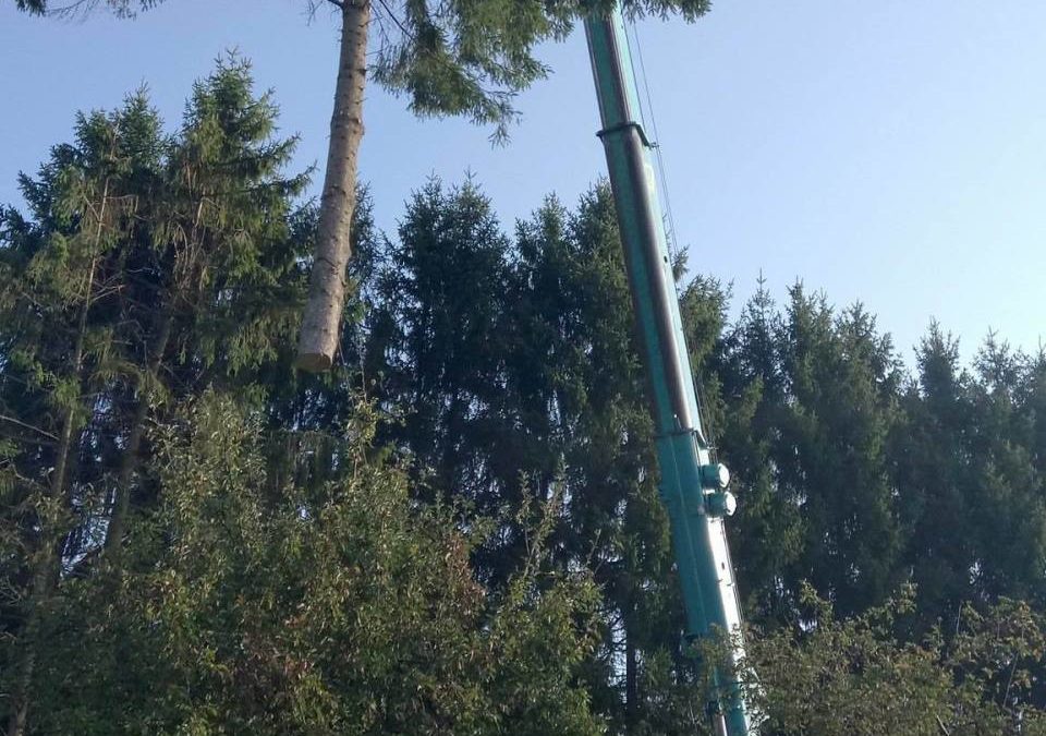 Chantier grue Jeanmenil
