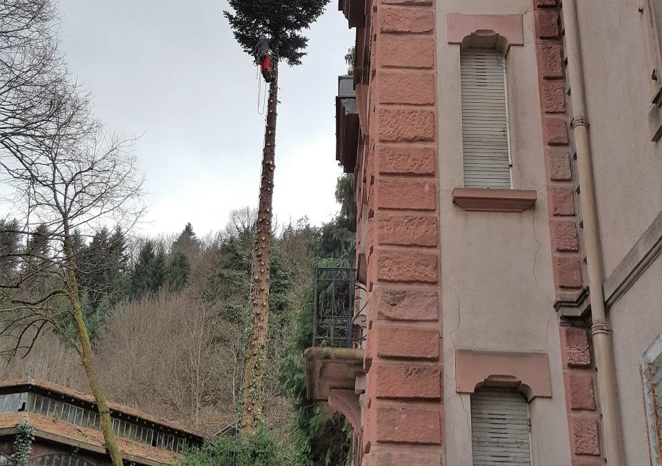 Chantier Plainfaing
